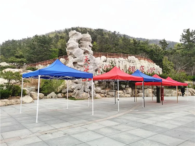 Canopy Folding Tent Outdoor Event 3X3 Trade Show Tent